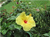 f59cffe6-Picture 662.jpg
